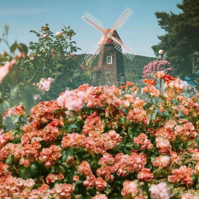 九游会ag下载手机版